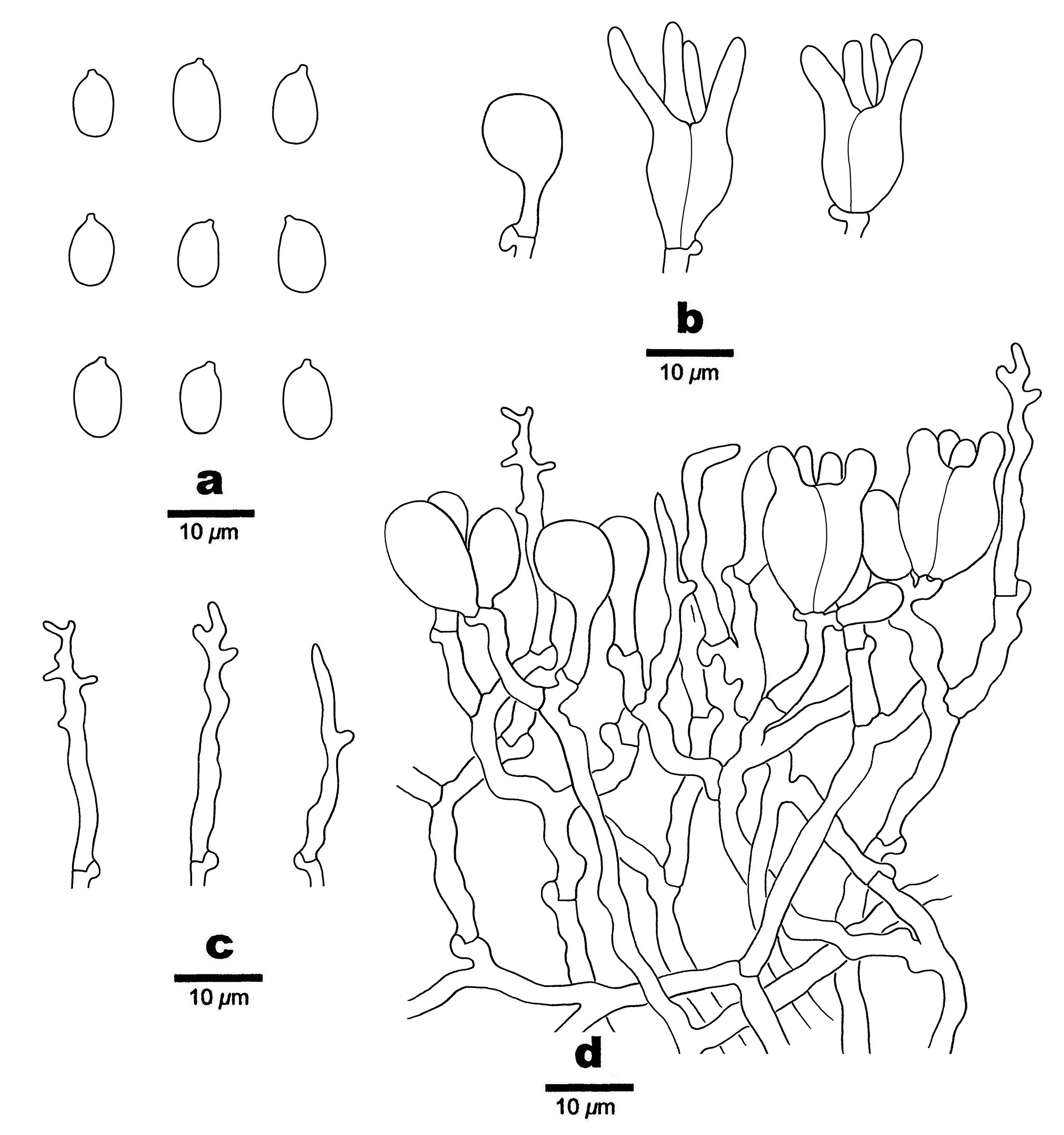 Figure 9